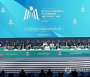 WTO, 전자상거래 관세 2년간 유예하기로