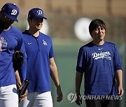 Dodgers Baseball