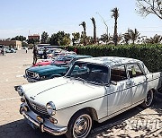 EGYPT-CAIRO-VINTAGE CAR CRUISE