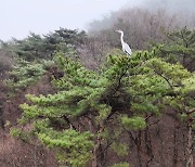 '람사르' 코앞, 무등산 평두메습지 어떤 곳?