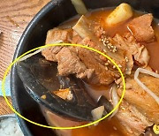 "갈비찜서 배수구 뚜껑이…" '안심식당' 믿고 갔다가 '황당'