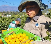 제주 호텔업 인력난 해소하나…외국인력 도입 가능해져