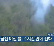 금산 야산 불…1시간 만에 진화