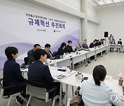 규제혁신 추진회의