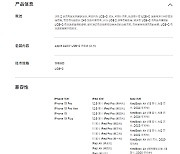 중국선 '애플 비전 프로'?…中 공홈에 문구 등장