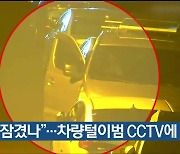 “문 잠겼나”…차량털이범 CCTV에 덜미