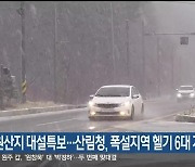 강원산지 대설특보…산림청, 폭설지역 헬기 6대 지원