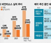 해외광산 헐값 매각 논란···공운위도 "매각 신중해야"