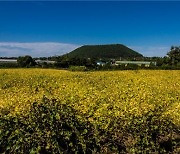 제주 저지곶자왈과 저지오름, '이달의 생태관광지' 선정