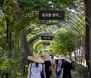 하버드 대학생 100명, 한국 불교문화 체험…진관사 '템플스테이'