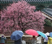 전국 봄비 ‘우산 챙기세요’…낮 최고 5~12도[내일날씨]