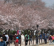 지역 축제 '바가지요금' 집중 단속한다…지역 책임관 현장 점검