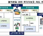 "제2의 엔솔 사태 막자"…작년 물적분할 19개 상장사, 투자자 보호 강화