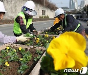 도심에 피어나는 봄 향기