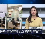 "홍콩 ELS 배상 0~100%까지"…발행량은 '반토막' [이슈N전략]