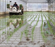 Sowing seeds for a good harvest in Yeoju