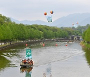 담양 대나무 축제, 명예 문화관광축제 선정…오는 5월 개최