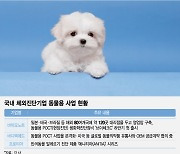 '코로나 특수' 진단업계, '동물진단' 키운다