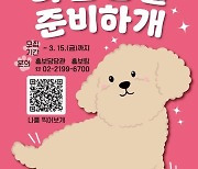 "유명해질 준비하~개"…용산구 구정 홍보견 '댕플루언서' 공모