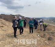 산불 피해후 나무 쓰러짐 등 2차 피해, 신속벌채로 예방