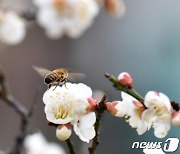 [오늘의 날씨]대구·경북(7일,목)…가끔 비나 눈, 낮 최고 6~10도