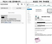 "피해자 줄었는데, 피해액은 늘었다"…정부 사칭 '고액 보이스피싱' 기승