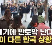 [자막뉴스] '돈을 들이부었는데'...전세계 연구대상 된 한국