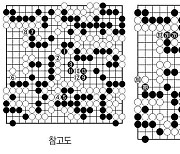 [제28회 LG배 조선일보 기왕전] 마지막 點檢