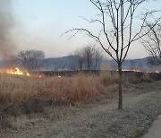 "불붙이면 어떻게 되는지 궁금"···경북 구미 갈대밭에 불 지른 40대 남성 검거