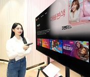 "스트림플레이션은 기회"...삼성·LG, 침체된 TV 해법 찾는다