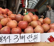 '금사과'에 농식품부 "대책 총동원해 가격 10% 이상 깎겠다"