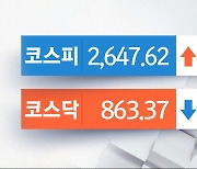 코스피, 개인 매수세에 소폭 반등‥2640대 마감