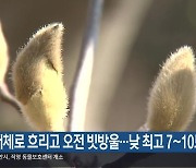 대전·세종·충남 대체로 흐리고 오전 빗방울…낮 최고 7~10도