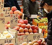 농식품부 “사과·배 가격 강세 불가피…수입은 검역 협상해야”