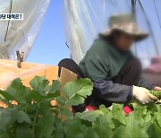 [탐사K] 계절근로자 브로커 차단…“전담기구 지정해야”