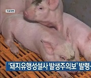 ‘돼지유행성설사 발생주의보’ 발령…올해 9건