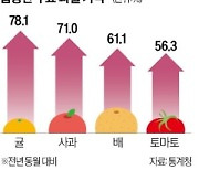 프루트플레이션…과일값, 인플레 영향력 '역대 최대'