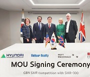 Hyundai E&C seeks to join UK SMR project