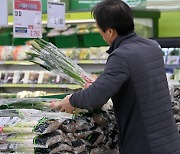 파 50%·토마토 56%·시금치 33% ↑… 과일 이어 채소도 ‘금값’