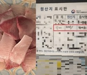 일본산 방어, 한국산으로 속인 식당들 무더기 적발