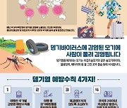 구미시, 뎅기열 조기 발견한다…해외 입국자 대상