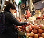 벽에 막힌 과일수입···놔두자니 소비자 ‘시름’ 풀자니 농가 ‘눈물’