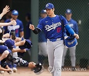 Dodgers White Sox Baseball