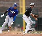 Dodgers White Sox Baseball