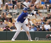 Dodgers White Sox Baseball