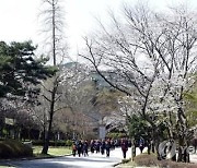 김제시 꽃빛드리축제 29일 개막…4월엔 모악산서 뮤직페스티벌