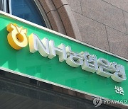 금감원, NH금융지주에 칼날 댄다…지배구조 정조준(종합)