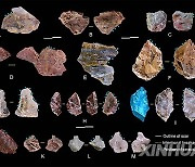 CHINA-STONE TOOL TECHNOLOGY-EAST ASIAN HOMININS-STUDY (CN)