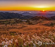 황매산군립공원 주차장 사용료 오른다…합천군 조례안 공포