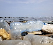 "체내 미세 플라스틱 있으면 뇌졸중·심장병 위험 4배 이상"